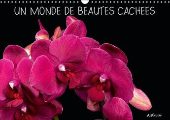 Couverture du livre « Un monde de beautés cachées (Calendrier mural 2016 DIN A3 horizontal) ; Venez découvrir mon univers graphique et coloré, chargé de sensations visuelles. (Calendrier mensuel) » de Aurelie Fieschi aux éditions Calvendo