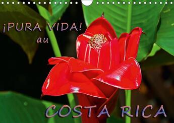 Couverture du livre « Pura vida au costa rica calendrier mural 2018 din a4 horizo - costa rica un pays merveilleux » de Schoen A aux éditions Calvendo