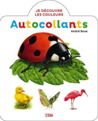 Couverture du livre « Je découvre les couleurs : coccinelle » de Andre Boos aux éditions Lito