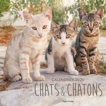 Couverture du livre « Calendrier mural chats et chatons 2020 » de  aux éditions Hugo Image