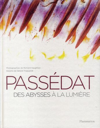 Couverture du livre « Passedat - des abysses a la lumiere - illustrations, couleur » de Gérald Passédat aux éditions Flammarion