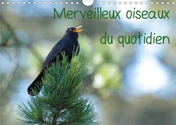 Couverture du livre « Merveilleux oiseaux du quotidien (édition 2020) » de Elena Duvernay aux éditions Calvendo