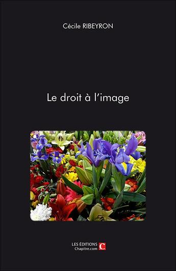 Couverture du livre « Le droit à l'image » de Cecile Ribeyron aux éditions Chapitre.com