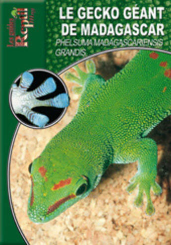 Couverture du livre « Le Gecko géant de Madagascar » de Kober Ingo aux éditions Animalia