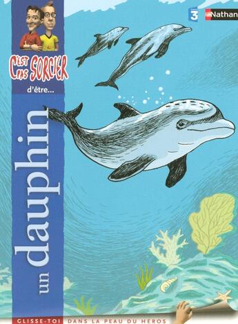 Couverture du livre « C'est pas sorcier d'être un dauphin » de Deny/Perroud aux éditions Nathan