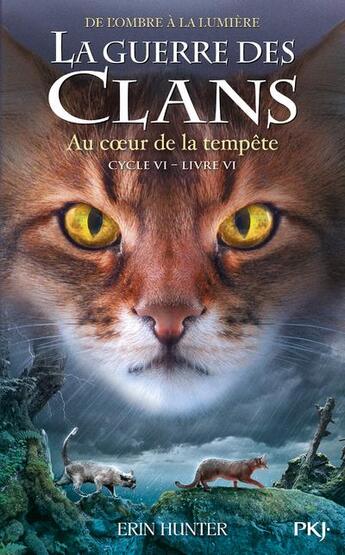 Couverture du livre « La guerre des clans - cycle 6 ; de l'ombre à la lumière Tome 6 : au coeur de la tourmente » de Erin Hunter aux éditions Pocket Jeunesse