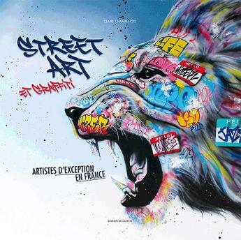 Couverture du livre « Street art et graffiti » de Claire Champenois aux éditions Le Layeur