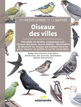 Couverture du livre « Oiseaux des villes » de Mirko D'Inverno et Sofia Matos et Marco Preziosi aux éditions Editions De La Salamandre