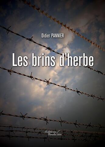 Couverture du livre « Les brins d'herbe » de Didier Pannier aux éditions Baudelaire