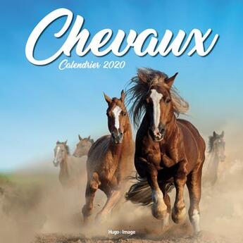 Couverture du livre « Calendrier mural chevaux 2020 » de  aux éditions Hugo Image