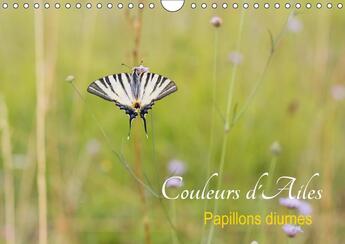 Couverture du livre « Couleurs d ailes calendrier mural 2018 din a4 horizontal - papillons diurnes calendrier m » de Makhloufi D aux éditions Calvendo