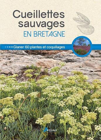 Couverture du livre « Cueillettes sauvages en Bretagne » de Philippe Chavanne aux éditions Artemis