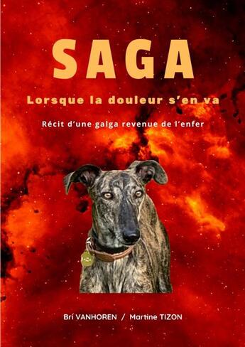 Couverture du livre « SAGA - Lorsque la douleur s'en va » de Brigitte Vanhoren - aux éditions Thebookedition.com