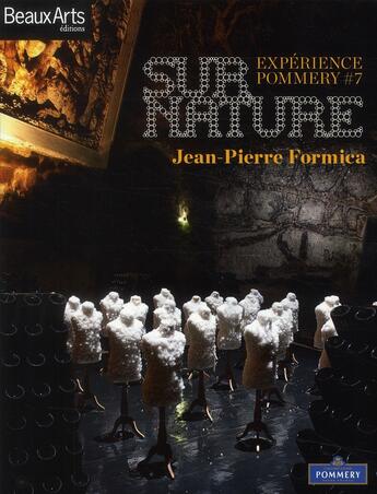 Couverture du livre « Expérience Pommery n.7 ; surnature » de Jean-Pierre Formica aux éditions Beaux Arts Editions