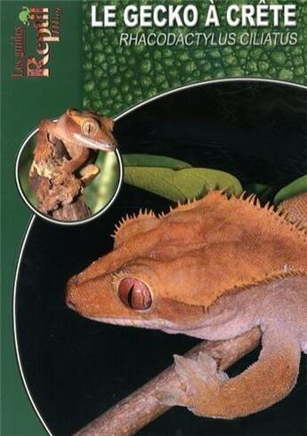 Couverture du livre « Le gecko à crête de Nouvelle-Calédonie » de Stefanie Bach aux éditions Animalia