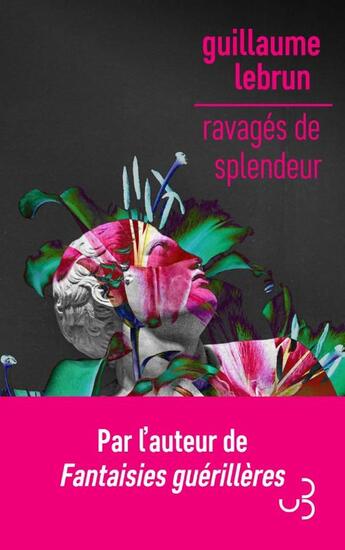 Couverture du livre « Ravagés de splendeur » de Guillaume Lebrun aux éditions Christian Bourgois