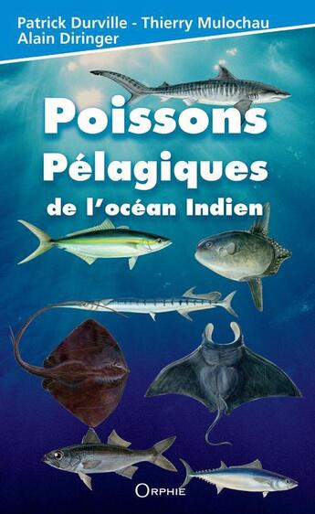 Couverture du livre « Poissons pélagiques de l'océan indien » de Patrick Durville et Thierry Mulochau et Alain Diringer aux éditions Orphie