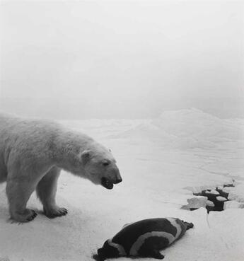 Couverture du livre « Dioramas » de Hiroshi Sugimoto aux éditions Xavier Barral