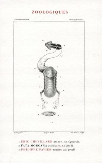 Couverture du livre « Zoologiques » de Eric Chevillard aux éditions Fata Morgana