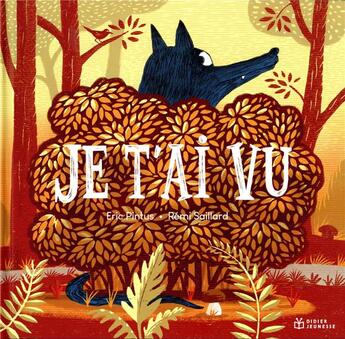 Couverture du livre « Je t'ai vu » de Remi Saillard et Eric Pintus aux éditions Didier Jeunesse