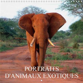 Couverture du livre « Portraits d animaux exotiques calendrier mural 2020 300 300 mm square - rencontres avec des animaux » de Blank Rudolf aux éditions Calvendo