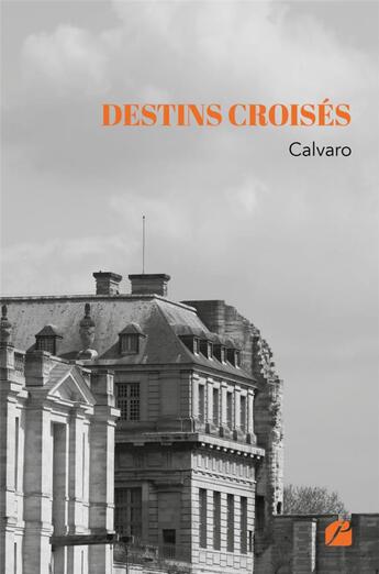 Couverture du livre « Destins croisés » de Calvaro aux éditions Editions Du Panthéon