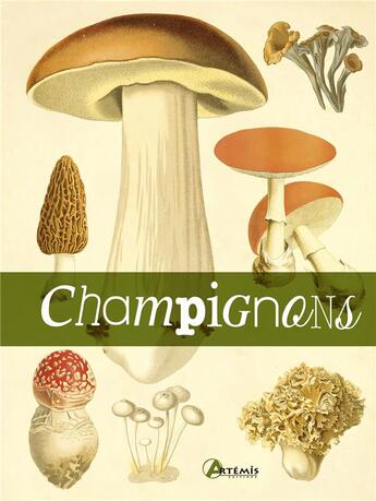 Couverture du livre « Champignons » de  aux éditions Artemis