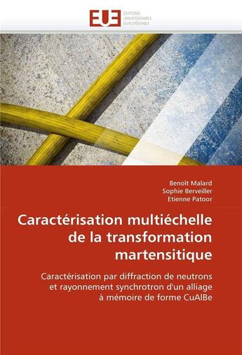 Couverture du livre « Caracterisation multiechelle de la transformation martensitique » de  aux éditions Editions Universitaires Europeennes