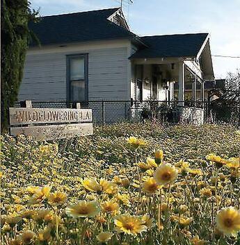 Couverture du livre « Fritz haeg: wildflowering l.a. » de Frank Samantha aux éditions Dap Artbook