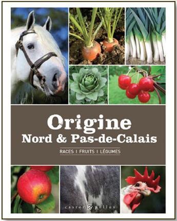 Couverture du livre « Origine Nord et Pas-de-Calais » de  aux éditions Castor Et Pollux