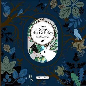 Couverture du livre « Dans le secret des galeries » de Cecile Jacoud aux éditions Amaterra