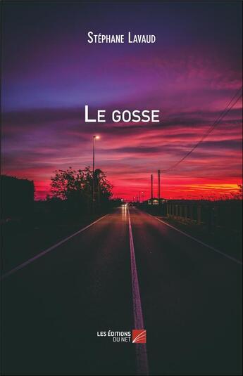 Couverture du livre « Le gosse » de Stephane Lavaud aux éditions Editions Du Net