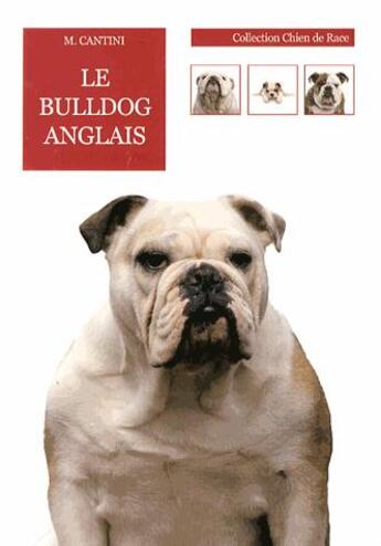 Couverture du livre « Le bulldog anglais » de Cantini aux éditions De Vecchi