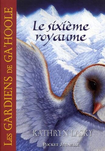 Couverture du livre « Les gardiens de Ga'hoole t.13 ; le sixième royaume » de Kathryn Lasky aux éditions Pocket Jeunesse