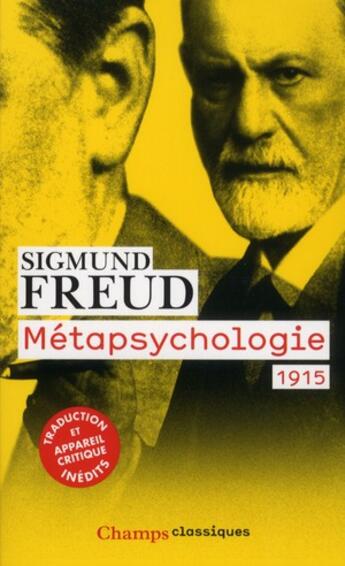 Couverture du livre « Metapsychologie - 1915 » de Sigmund Freud aux éditions Flammarion