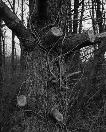 Couverture du livre « Tim carpenter christmas day, bucks pond road » de Carpenter Tim aux éditions The Ice Plant