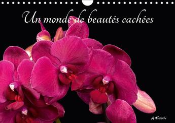 Couverture du livre « Un monde de beautes cachees calendrier mural 2018 din a4 hor - belles et colorees calendrier » de Fieschi A aux éditions Calvendo