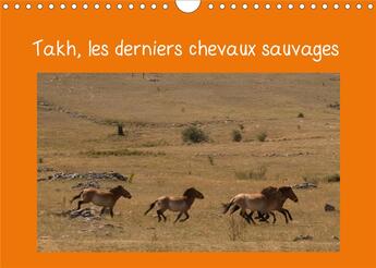 Couverture du livre « Takh, les derniers chevaux sauvages (Calendrier mural 2020 DIN A4 horizontal) ; Nom mongol de ce cheval originaire d'Asie Centrale (Calendrier mensuel, 14 Pages ) » de Miss Terry aux éditions Calvendo