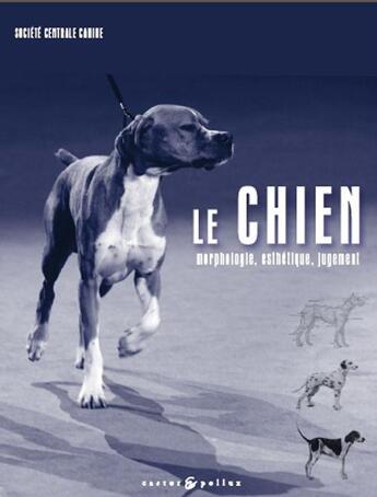 Couverture du livre « Le chien ; morphologie, esthétique, jugement » de  aux éditions Castor Et Pollux