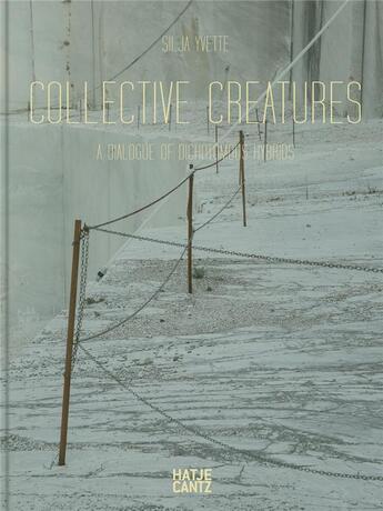 Couverture du livre « Silja yvette collective creatures » de Lindenberg Charlotte aux éditions Hatje Cantz