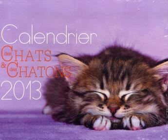 Couverture du livre « Calendrier des chats et des chatons 2013 » de Jean Cuvelier aux éditions Larousse