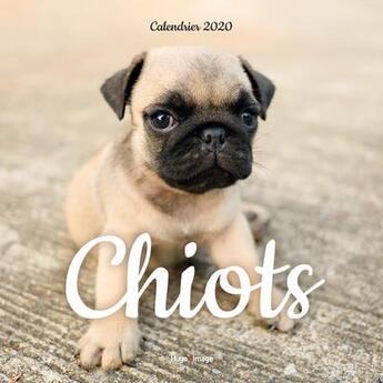 Couverture du livre « Calendrier mural chiots 2020 » de  aux éditions Hugo Image