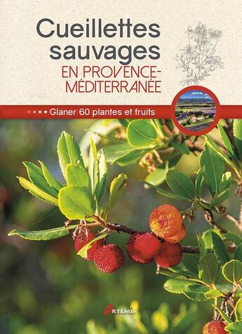 Couverture du livre « Cueillettes sauvages en Provence-Méditerranée » de Philippe Chavanne aux éditions Artemis