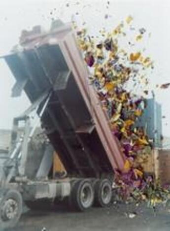 Couverture du livre « Stephen gill hackney flowers » de Gill Stephen aux éditions Thames & Hudson