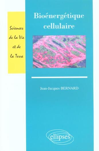 Couverture du livre « Bioenergetique cellulaire » de Bernard J.-J. aux éditions Ellipses