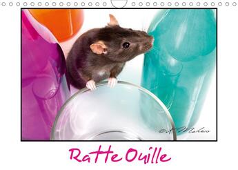 Couverture du livre « Ratte Ouille (Calendrier mural 2020 DIN A4 horizontal) ; Gentille muridée (Calendrier mensuel, 14 Pages ) » de Kathy Mahevo aux éditions Calvendo