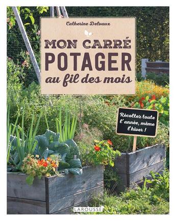 Couverture du livre « Mon carré potager au fil des mois » de Catherine Delvaux aux éditions Larousse