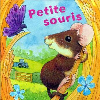 Couverture du livre « Petite souris » de Daniel Howarth aux éditions Succes Du Livre