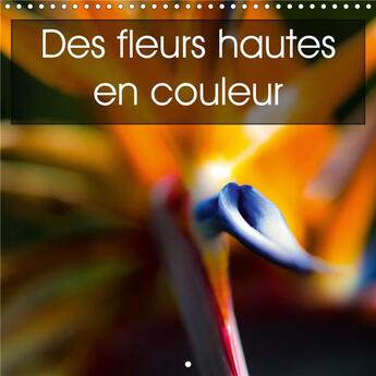 Couverture du livre « Des fleurs hautes en couleur (Calendrier mural 2020 300 × 300 mm Square) ; Des fleurs de toute beauté et hautes en couleur (Calendrier mensuel, 14 Pages ) » de Ralf Kaiser aux éditions Calvendo