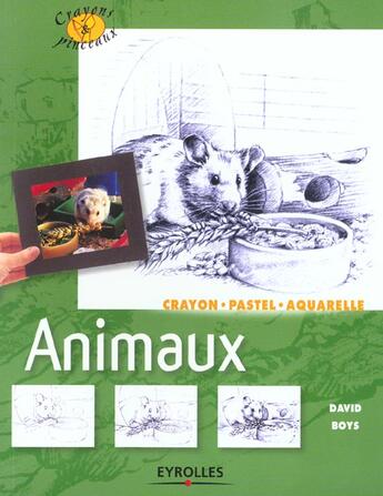 Couverture du livre « Animaux. crayons, pastel, aquarelle » de Boys D. aux éditions Eyrolles